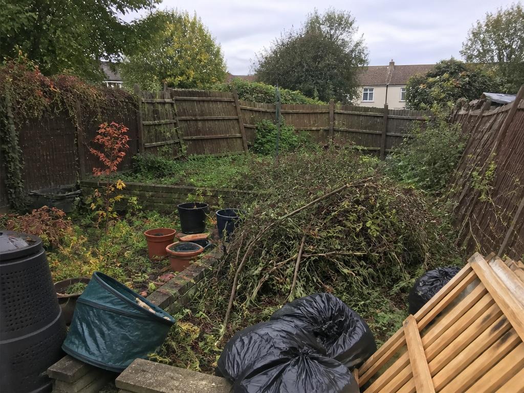 Overgrown garden strip-out before clearance